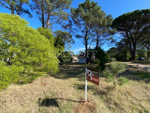 Imagen 15 de 16 de Hermoso Terreno, Zona Golf. Villa Gesell