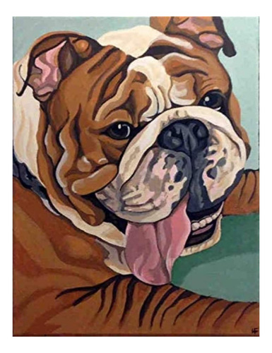 Kits Pintura Para Adulto Bricolaje Numero Bulldog Animal 8 X