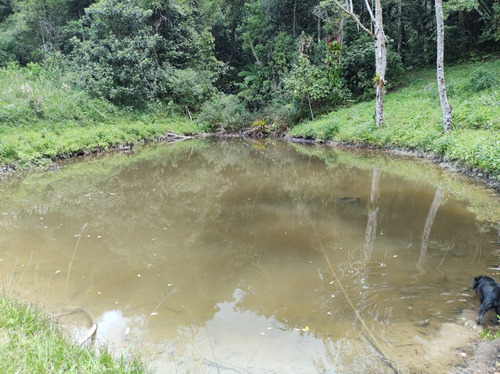 Imagem 21 de 25 de Juquitiba/sitio Com Lago/bom Para Plantar Ou Criar