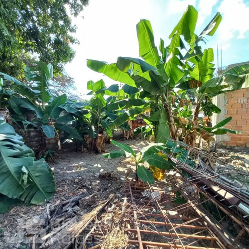 Casa En Venta El Limon Aragua 06js