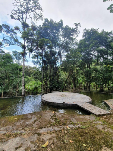 Imagem 13 de 14 de Vendo Casa Em Morretes Pr