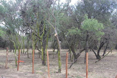 Lotes En Venta En Cerro De Oro Loteo Altos Del Cerro Merlo San Luis