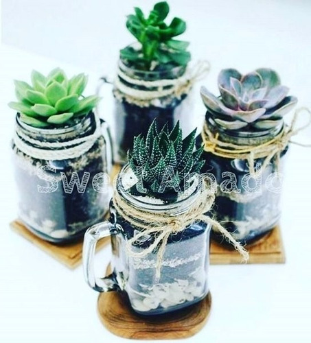 24 Mini Caneca Vidro Mason Jar Até 200ml Lembrancinha