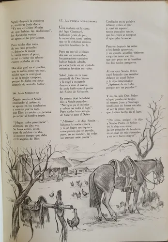 El Evangelio Criollo - Amado Anzi / Año 1964 / Tapa Dura (Usado)