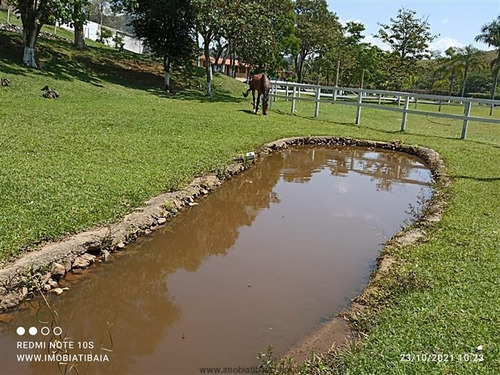 Imagem 9 de 29 de Sítios À Venda Em Nazare Paulista/sp - Compre O Seu Sítios Aqui! - 1491955