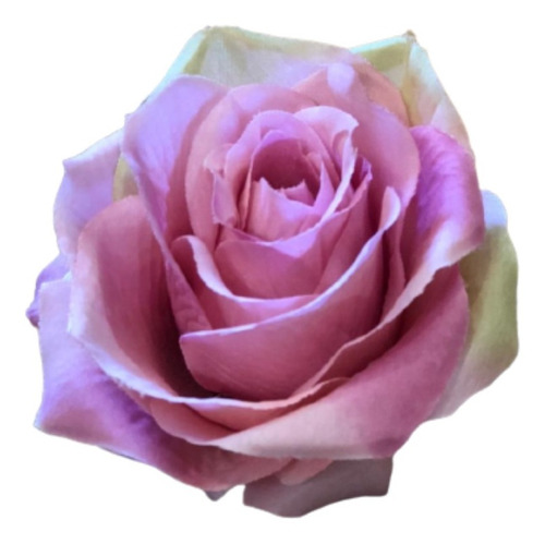 Imagem 2 de 2 de Buquê De Rosas X9 55cm - Rosa Outono