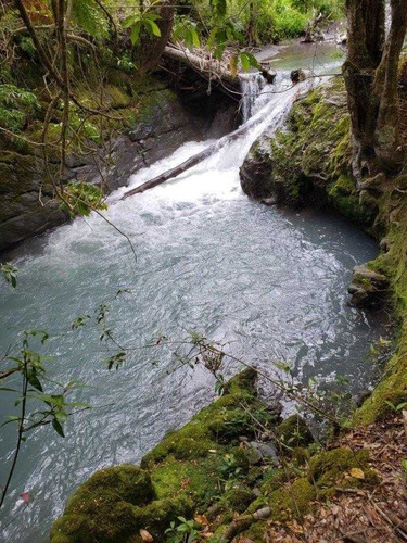 Imagen 3 de 10 de Vendo Maravilloso Campo Con Ríos Y Bosque Nativo.