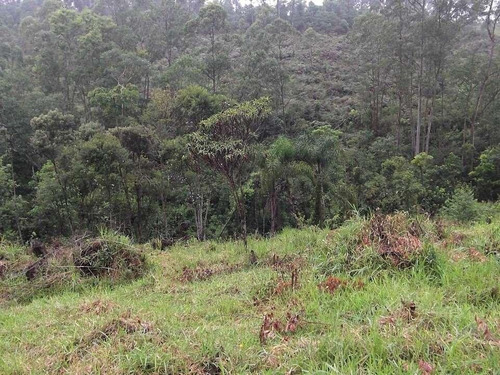 Terreno Em Chácara Recanto Verde, Cotia/sp De 0m² À Venda Por R$ 250.000,00 - Te894768