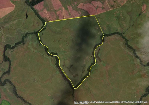 Campo De 252 Has En Durazno. Costas Sobre Arroyo. Apto Para Ganadería, Arroz Y Forestación!