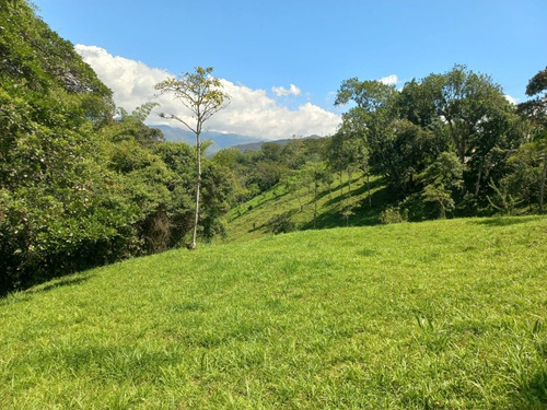 Imagen 6 de 8 de Venta De Casa Lote Esquinero A 1 Km De Villeta