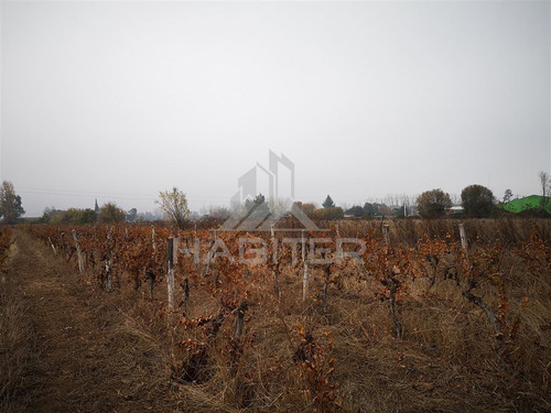Sitio En Venta En Curicó