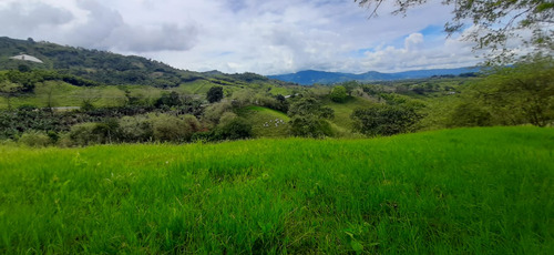 Se Vende Finca Ganadera Entre Barragan - Río Verde.