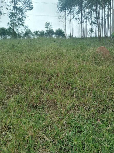 Imagem 11 de 14 de A22- Últimos Lotes Em Jacareí