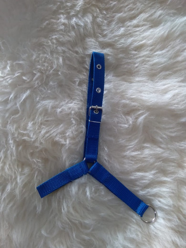 Cabresto De Mini Pônei