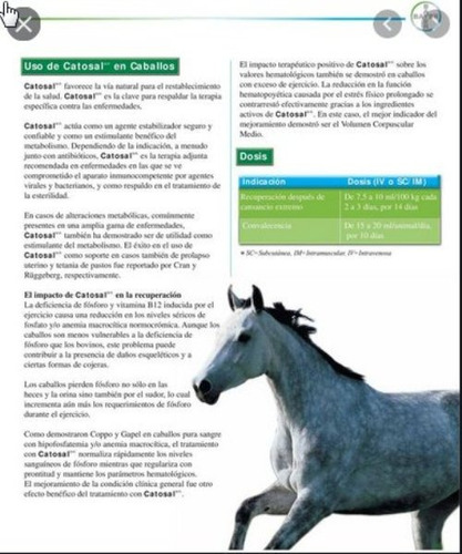 Imagen 5 de 5 de Producto Veterinario Catosal X 100 Ml
