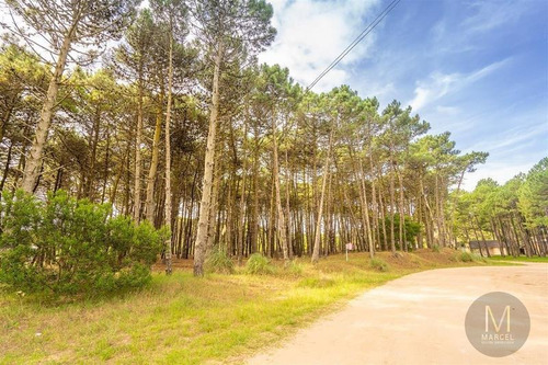 Imagen 6 de 7 de Nuevas Condiciones !! Lote En Venta - Alamos Ii Pinamar