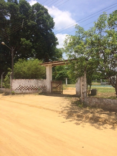 Excelente Granja 04 Hec, Paratibe Próximo Ct Do Sport, Aceito Imóvel Ou Automóvel - Ch00010 - 67721664