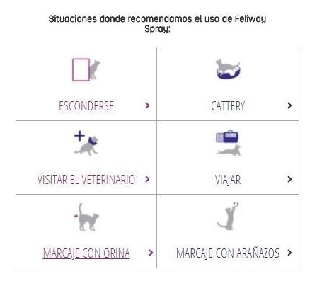 Feliway Gato Classic Spray Anti Estrés Calmante C/ Feromonas