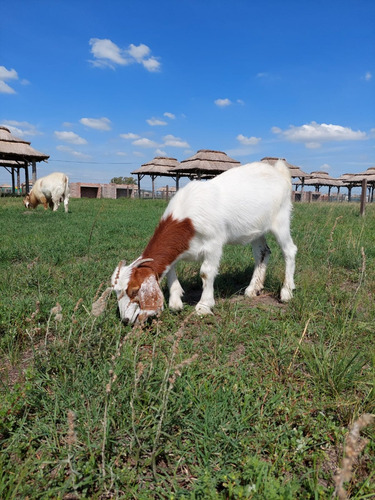 Imagen 10 de 11 de Terreno En Venta - 300mts2 - Fincas De Don Eugenio Il -gral Rodriguez - Oportunidad