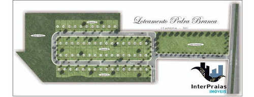 Imagem 6 de 6 de Terreno Em Loteamento - 162348-v