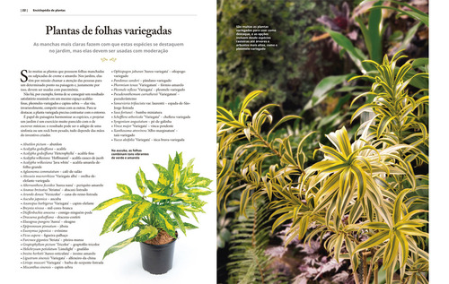 Planta Certa Para O Lugar Certo - Edição Ouro (capa Dura)