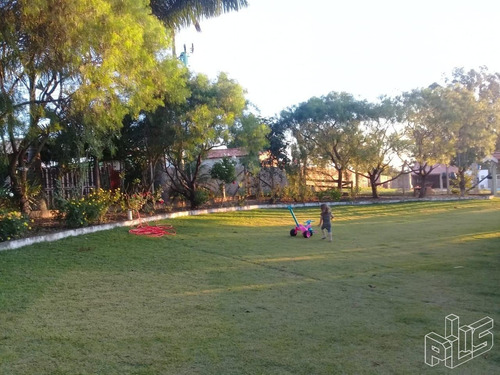 Imagem 9 de 11 de Chácara À Venda Em Campos Do Meio - Ch008651