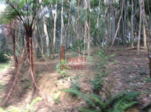 Imagem 14 de 15 de Terreno - Ref: 266 - V-266