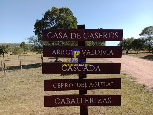 Imagen 10 de 13 de 5 Hectáreas, Entrega 10.800 U$s Y Saldo En 60 Cuotas