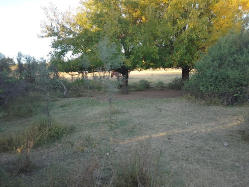 Imagen 2 de 28 de T056pa Amplios Terrenos De 1.350 M2 En Panaholma, A 300 Mts Del Río