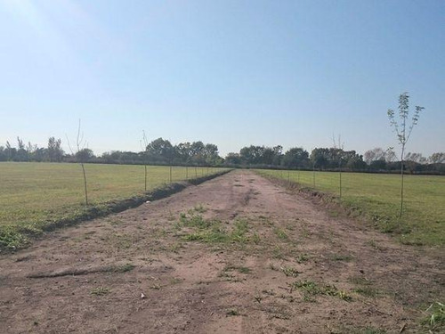Imagen 3 de 6 de Vendo Lotes En San Guillermo Zona Sur Camino San Carlos