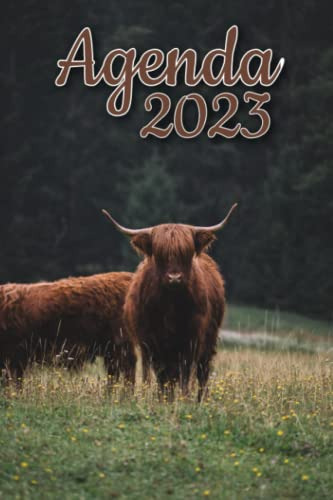 Agenda 2023: Agenda Semanal Vaca De Las Tierras Altas De Un