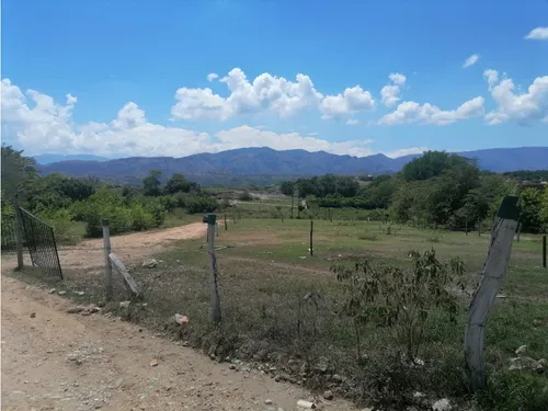 Vendo Lote En Carmen De Apicala