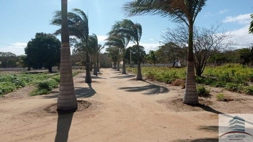 Imagem 2 de 18 de Granja A Venda Lagoa Nova