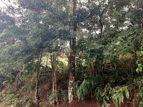Imagem 7 de 10 de Terreno Com 3610 M² No Vale Dos Cedrinhos. - Te00399 - 69367277