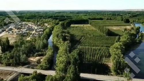 En Venta Chacra De 65 Has, Isla Adelina, Centenario Neuquén.