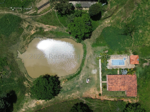 Julian Galindez Vende Excelente Hacienda Con Fondo De Comercio De Agropecuaria En Gamelotal Cabudare #25-12923