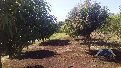 Imagem 3 de 13 de Sítio Com 2 Dormitórios À Venda, 32000 M² Por R$ 447.000,00 - Zona Rural - Jataizinho/pr - Si0010