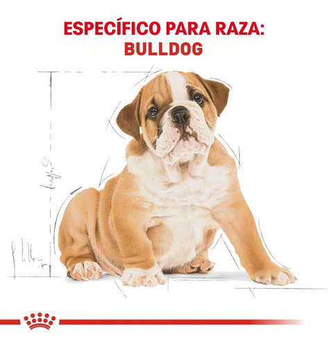 Royal Canin Bulldog Puppy 13.6 Kg Nuevo Original Sellado