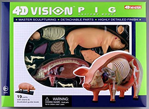Tedco 4d 26102 Modelo De Anatomía De Cerdo De Visión, Un Col