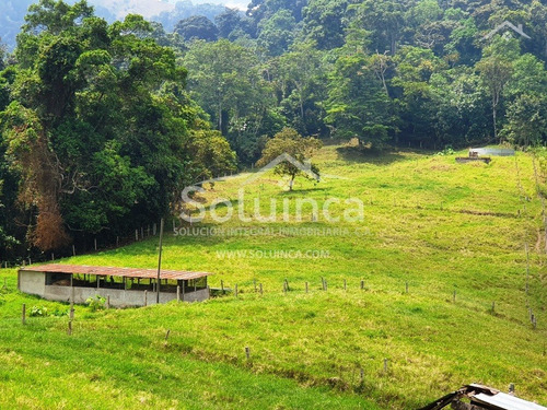 Imagen 26 de 30 de Amplia Finca Ubicada En Chiguará