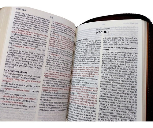 Biblia Nvi Letra Gigante - Imitación Piel Con Cierre Marrón