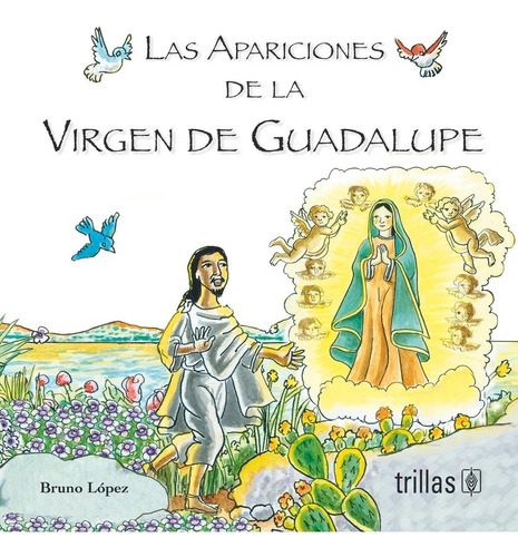 Libro Las Apariciones De La Virgen De Guadalupe *trs