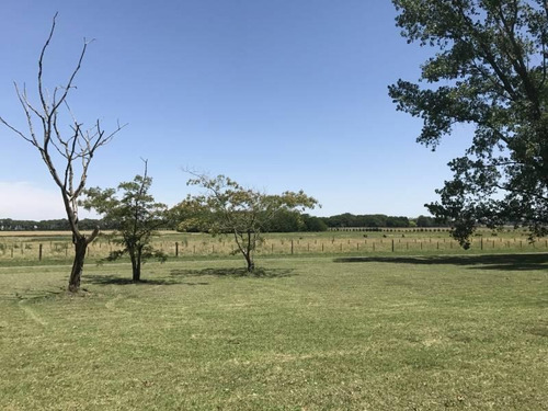 Oportunidad Única Venta De Campo Sobre Ruta Nacional 8 - Duggan, San Antonio De Areco - Mallmann Pro