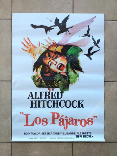 Los Pájaros Hitchcock Zelig Woody Poster Acrílico Lavable