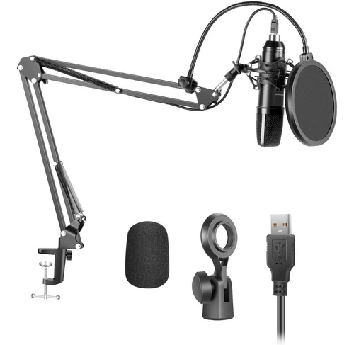 Microfono Condensador Neewer Usb200 +kit Brazo Stand Podcast