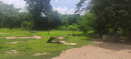 Imagen 3 de 14 de Terreno En Venta En Naguanagua
