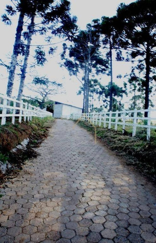 Imagem 16 de 30 de Sítio Em Meio As Montanhas A Venda - Bueno Brandão/mg - Si0015