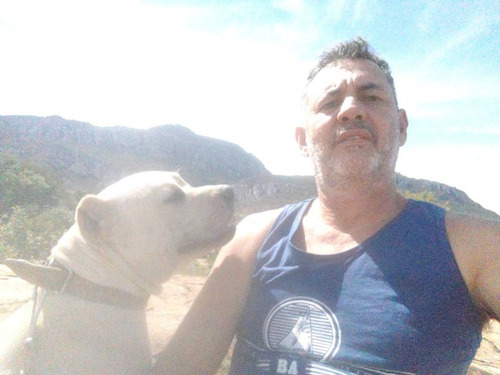 Imagem 3 de 3 de Pitmonster