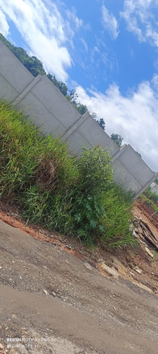 Vendo Terreno 8x17 Vem Nele, Último Lote, Valor Negociável