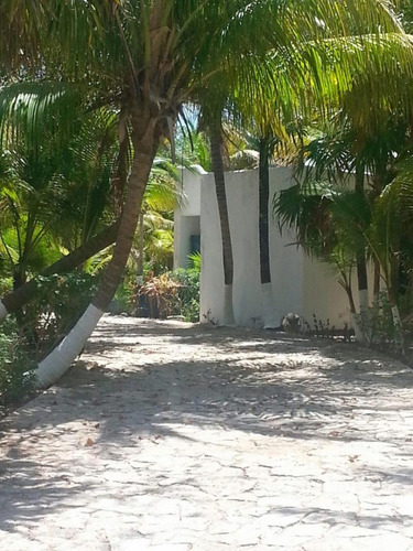 Imagen 4 de 18 de En Venta Terreno Comercial En Solidaridad Quintana Roo